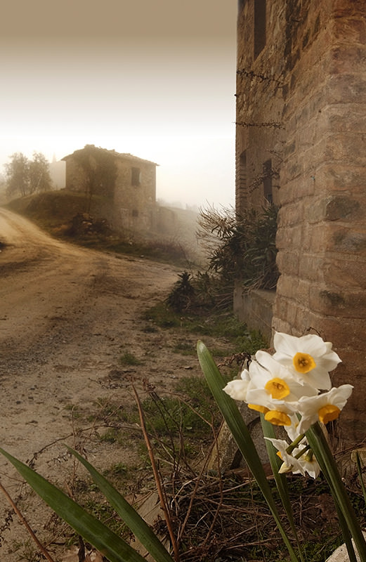 History of Castell'in Villa